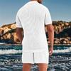 Completo 2 Pezzi da Uomo Estivo Traspirante in Rete con Colletto a Rever T-Shirt e Set di Pantaloncini Design Fresco Sexy con Tessuto Forato Abbigliamento da Spiaggia