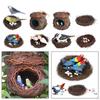 Miniature Parrot Egg Figurine Fairy Garden Decoration Bonsai Modern for Office Patio Outside Outdoor