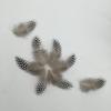Set of 50 Pheasant Rooster Feathers Chicken Feathers Costume Millinery Craft