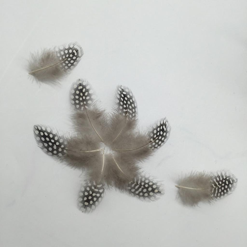 Set of 50 Pheasant Rooster Feathers Chicken Feathers Costume Millinery Craft