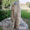 Long Scarf Unisex Faux Fox Fur Neck Warmer Cold-weather Protection Versatile Women's Scarf
