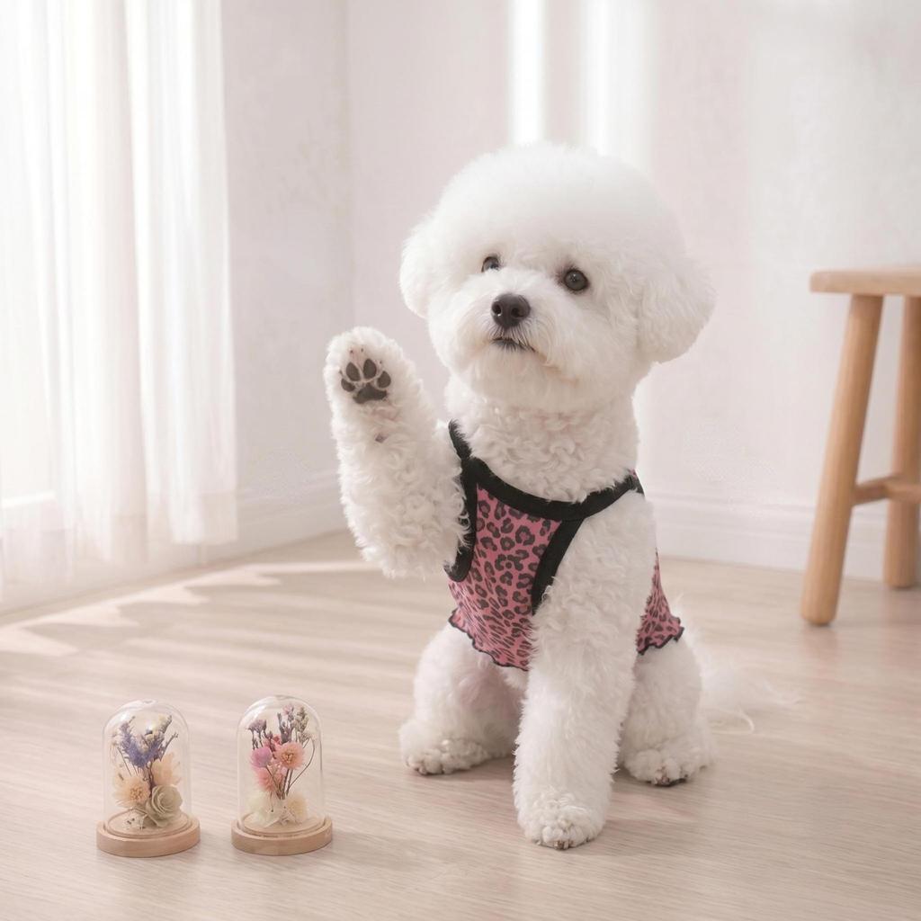 Summer thin ice silk cat vest anti-hair loss breathable cool ins wind pet cat suspender clothes