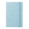 Blocnotesuri și carnete – Agende