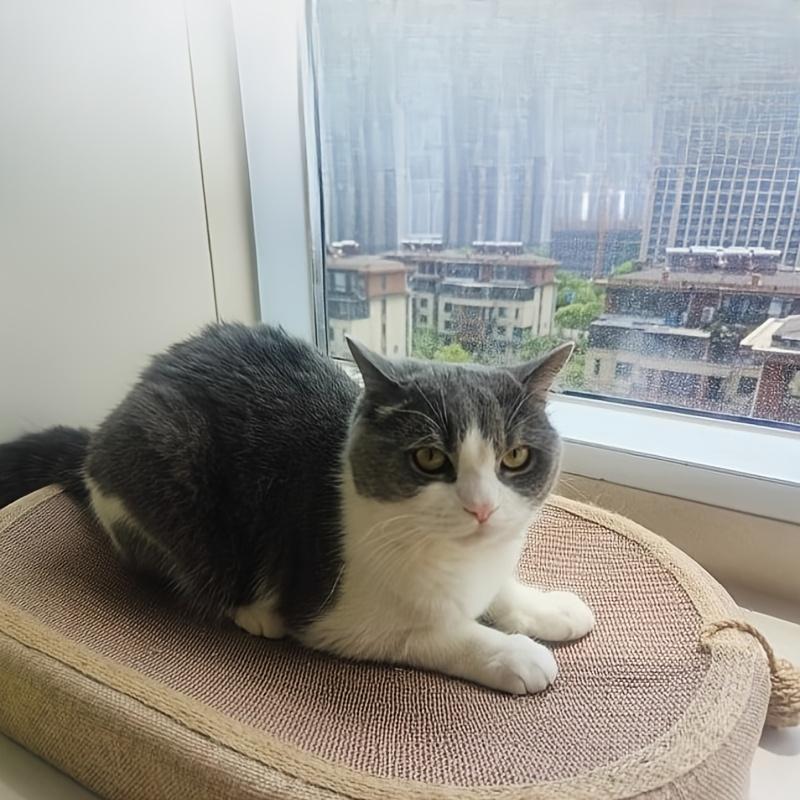 1pc Pet Cat Scratching Board Extra Large Oval Sisal Cat Nest Wear-resistant and Non-shedding Cat Scratching Box Cat Supplies