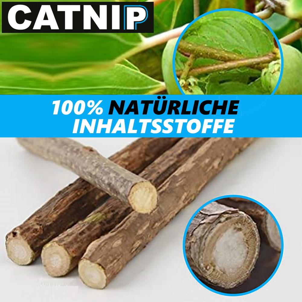 CATNIP Matatabi Chew Sticks Cats Wood Catnip Catnip Dental Care Teeth 20pcs
