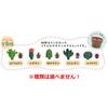 Nor Corporation Realistic Cactus Bath Ball OBSAB0101