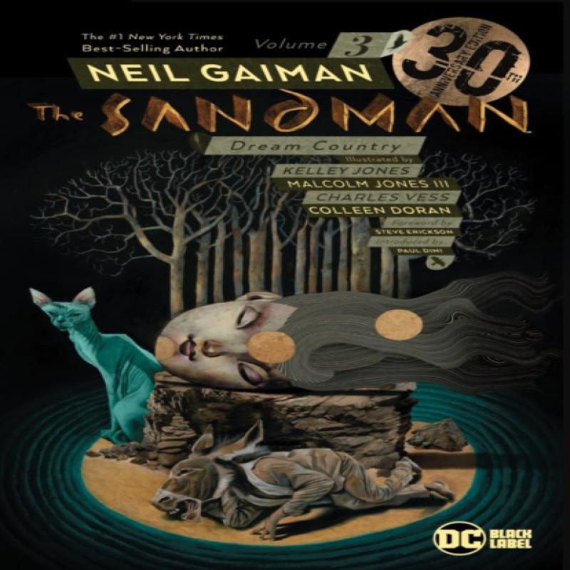 The Sandman Volume 3 by Neil Gaiman Paperback Book 9781401285487