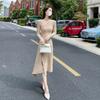 Slant shoulder knitted dress women's autumn wear new temperament Muse fan with coat inside sweater skirt