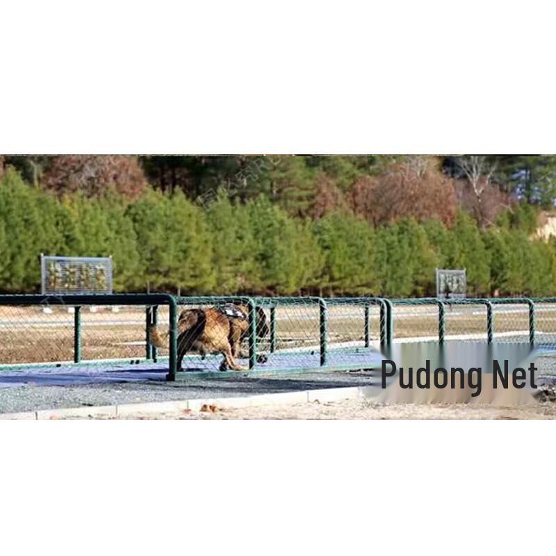 Professional Dog Agility Training Obstacles