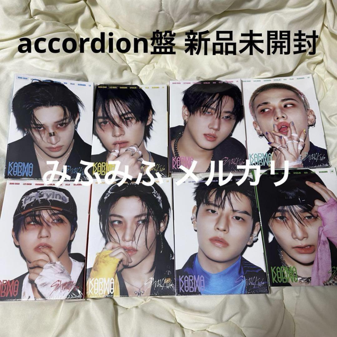 

[USED] KARMA Album Accordion 8 Disc Complete Set 5