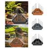 Tortoise Food Plate with Weighted Base Anti Tip Water Dish Plastic Feeder Bowl for Turtle Aquarium and Reptile Habitat