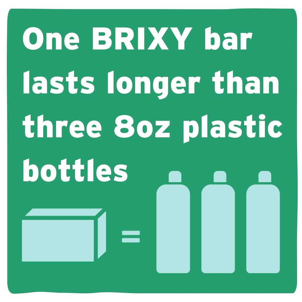 BRIXY Oil Argan Oil Balance Shampoo Bar for Oily Scalp with Provitamin B5 - Mint Eucalyptus Fragrance Shampoo Bar For Oily Scalp, 1 X 113g