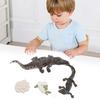 Animal Growth Life Cycle Model Set Early Education PVC Cognition Reptile Animal Figures for Children