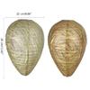 Deterrent Realistic Wasp Paper Repellents Safe Fake Trap DrivesBeehives Lanterns