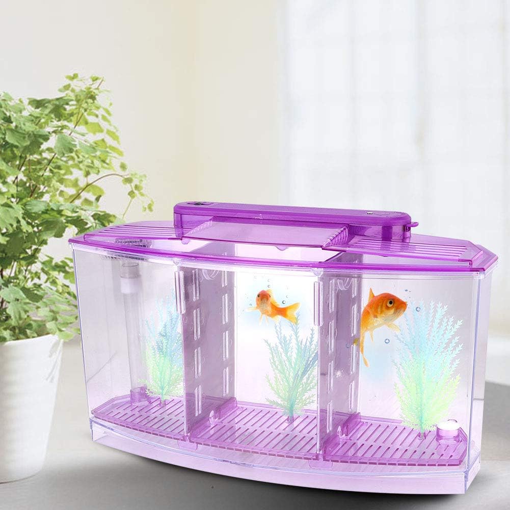 Three Areas Small Aquarium, Transparent Fish Tank, Desktop with Water Change Valve with LED Light for Betta Small Fishes(Purple)