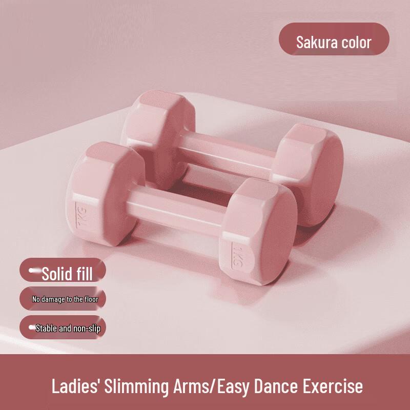 Longchan Fitness Cement Dumbbells