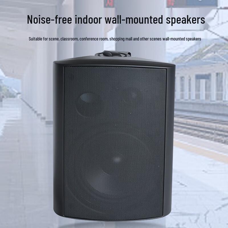 Weishu WS16-40 40W Wall-Mounted Passive Speaker