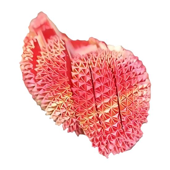 3D Printed Fidget Ball Toy Hard Spiky Fidget Sphere Twistable Sensory Stress Relief Desk Accessory for Adults Kids