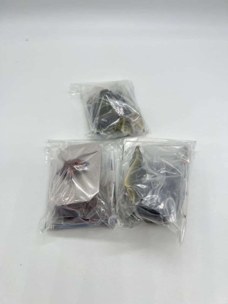 [USED] Paleozoic Explosion of Life