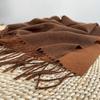 Winter Scarf Women Luxury Autumn Winter Double Sided Scarf Thicken Warm Shawl Classic Tassels Scarf Solid Color Soft Shawl