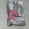 STRAY KIDS Skimming Pig Backpack
