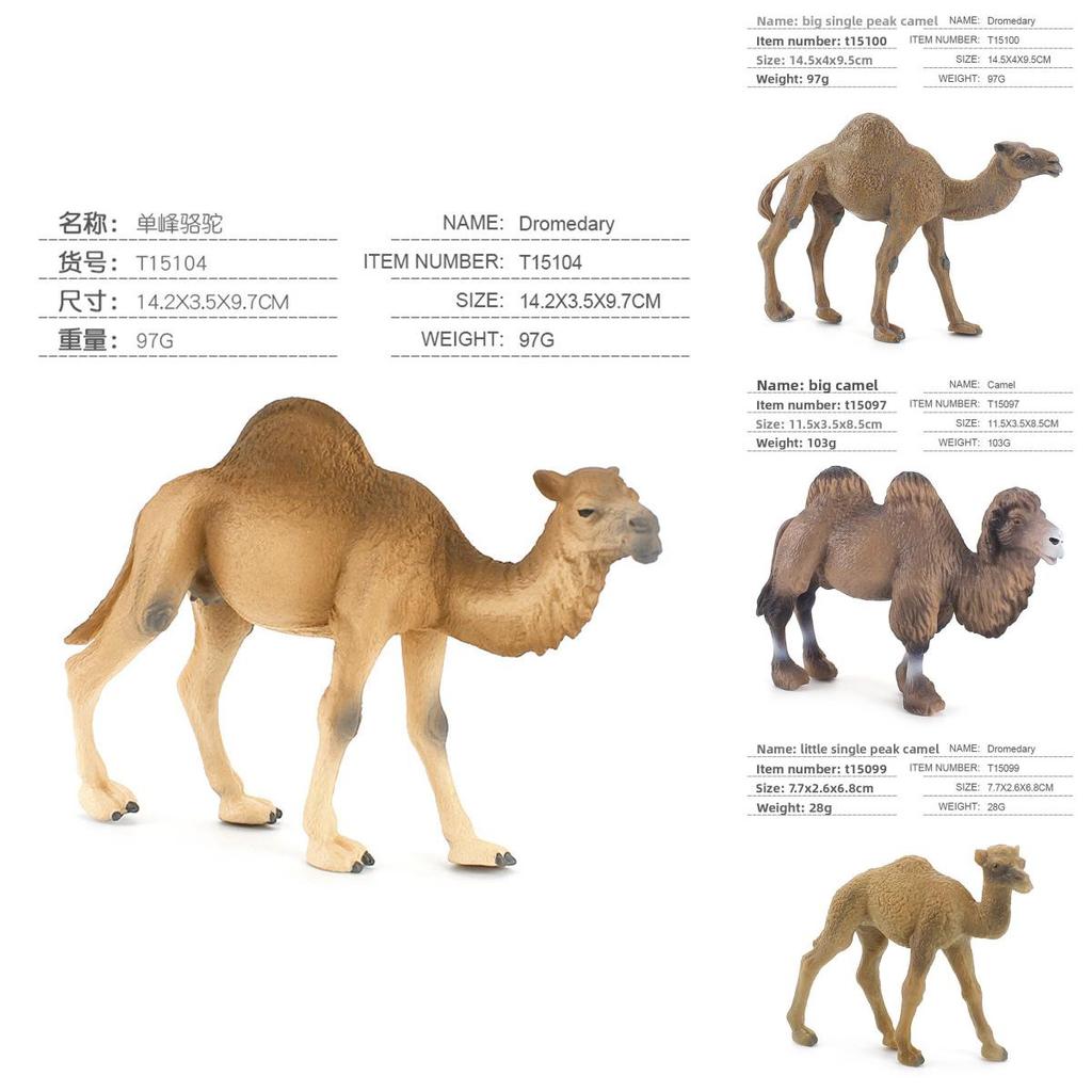 Wildlife Pvc Model Collection With Realistic Desert Camels For Classroom Decor