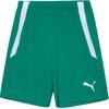 Moisture Wicking Running Fitness Mid Waist Logo Five Point Casual Shorts Men Shorts Green 704924-05