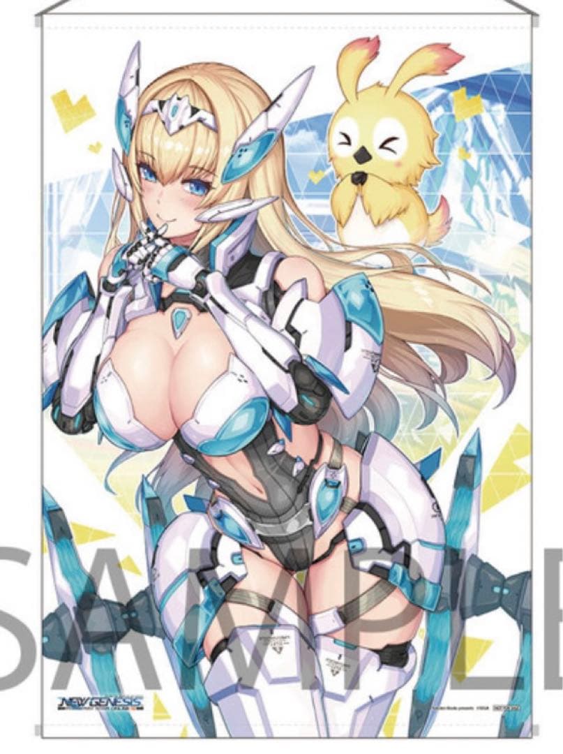 [USED] Nidy-2D PSO2 Starter Package Bonus Tapestry ngs