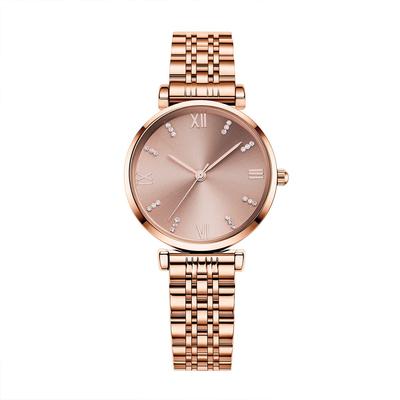 TIME100 Analog Watch with Scene 30M Water Stainless Steel Rose Gold Dial Women's Charm, Resistance, Strap,
