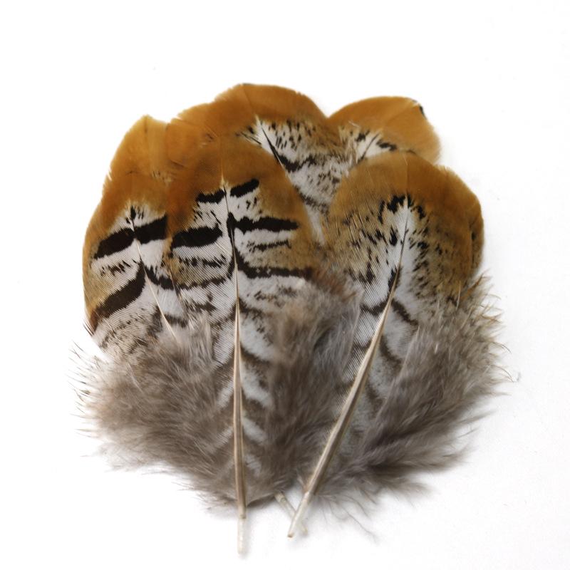 Pheasant Feather Long Plumes for Peking Opera Performance - Sun Wukong Theme