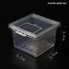 Amphibious Terrarium: For Reptile, Frog, Salamander, Snail, Silkworm, & Spider Rearing