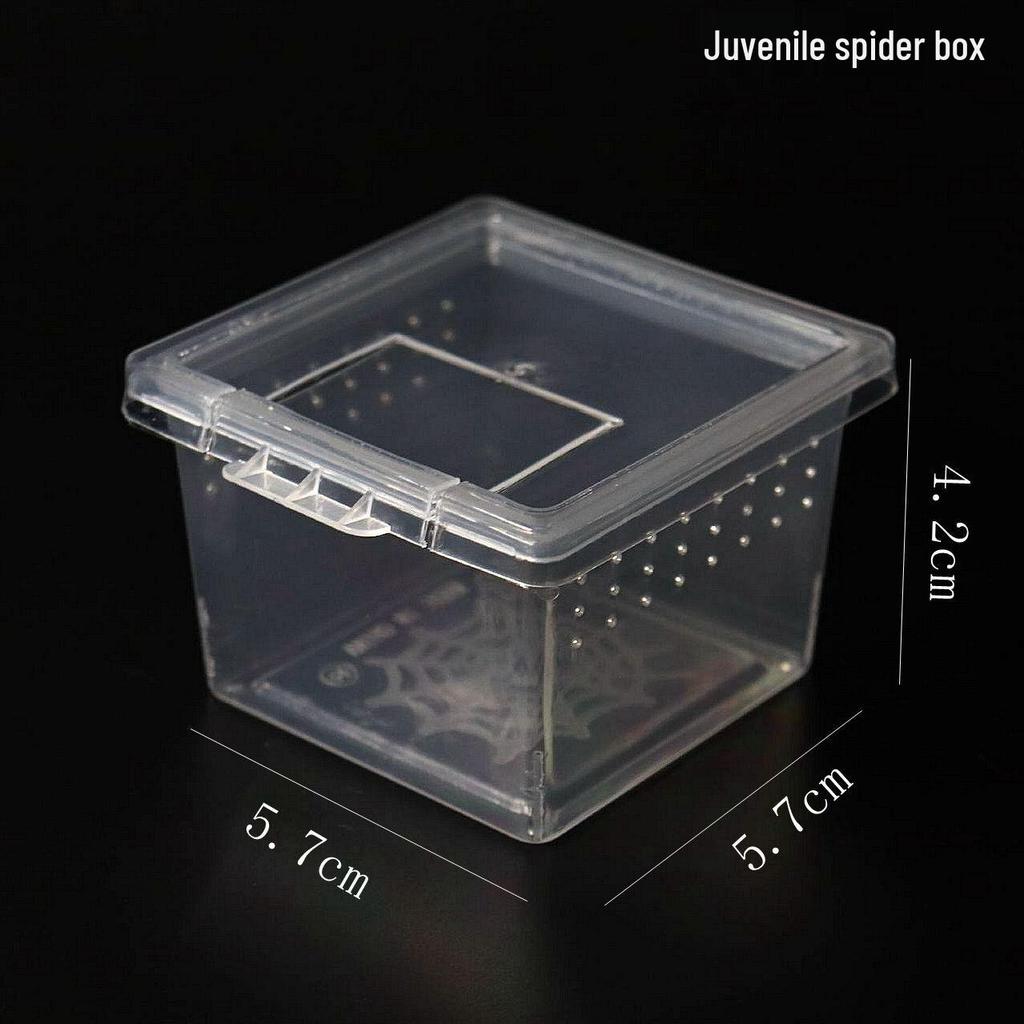Amphibious Terrarium: For Reptile, Frog, Salamander, Snail, Silkworm, & Spider Rearing