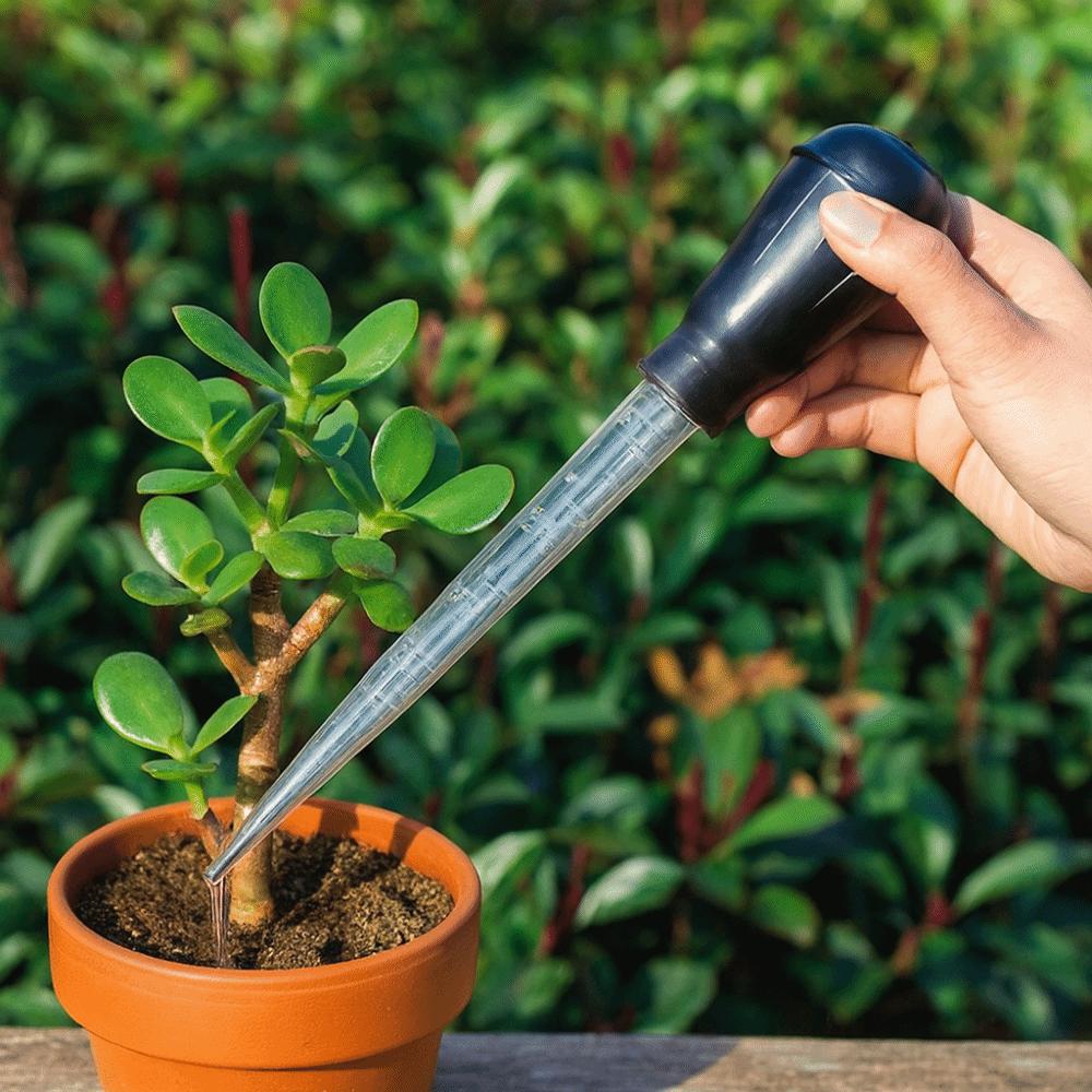 Transparent Plant Water Remover Detachable Water Pumping Processor  Indoor Plant