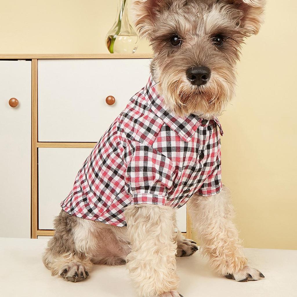 Baffy Pet Clothing: Stylish Cat & Dog Apparel and Skirts