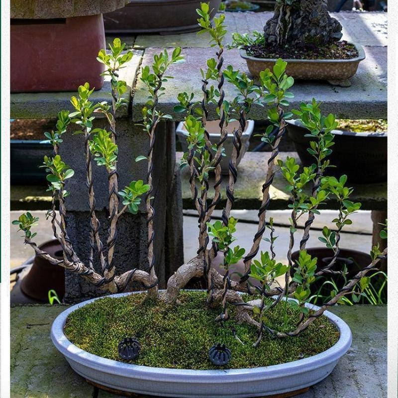 Bonsai Training Wire 1/2Pcs 5 Meters Non-Toxic Aluminum for Garden Potted Plant Support Shaping Home Yard Gardening