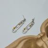 Stainless steel paper clip earrings Titanium steel earrings do not fade Jewelry explosion