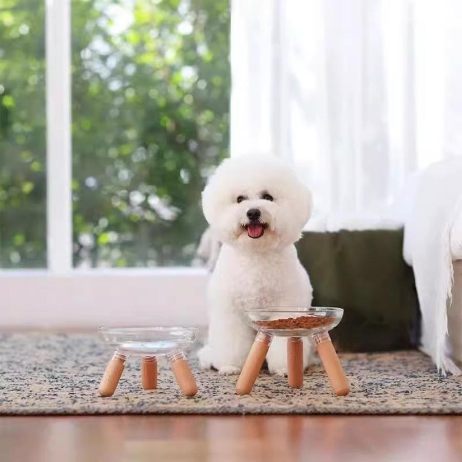 500ml Miska dla kota Miska dla psa Nie jest łatwo przewrócić Zwiększona wysokość dla ochrony kręgosłupa szyjnego Rzeczy dla zwierzaka Akcesoria dla kota