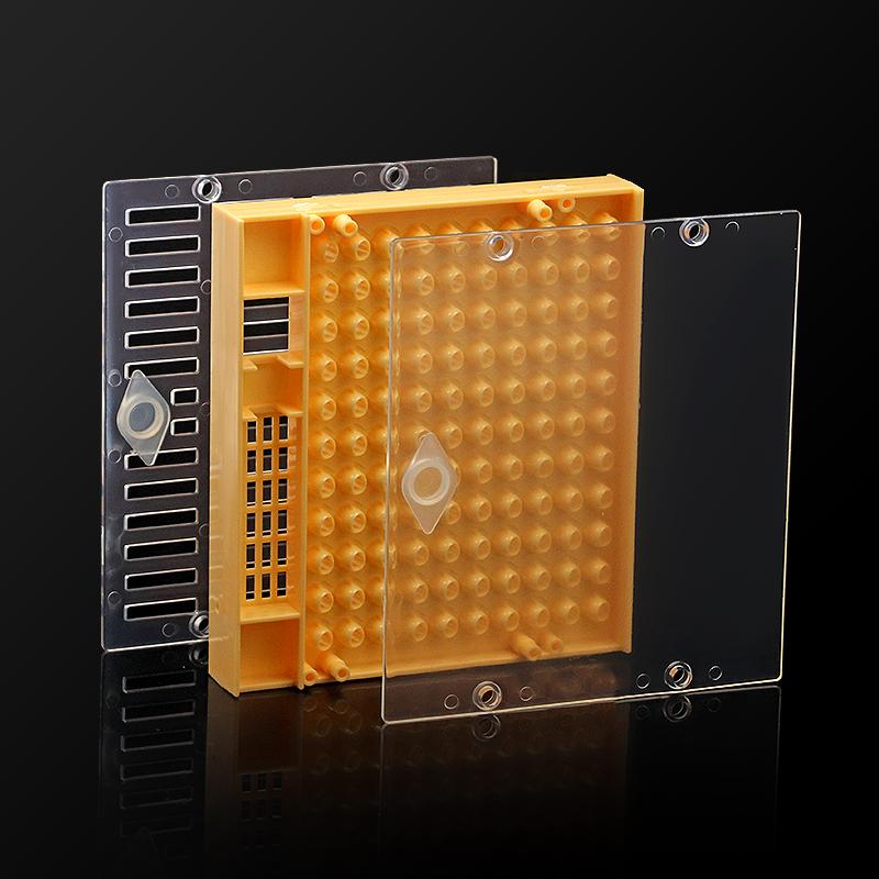Beekeeping  Queen Rearing Cell Cup Box Kit Plastic Honeycombs Queen Cage Isolation Apiculture Equipment Accessories