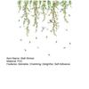 Hanging Willow Leaf Wall Decals DIY Green Vine Plants Wall Sticker Peel And Stick Birds Butterfly Wall Art Mural for TV Background Bedroom Wall Decor