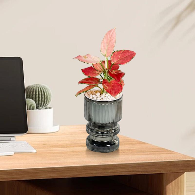 1PC Double-layer Solid Color Soil Cultivation Flowerpot Decorative Potted Pot Desktop Ornaments 3 Colors