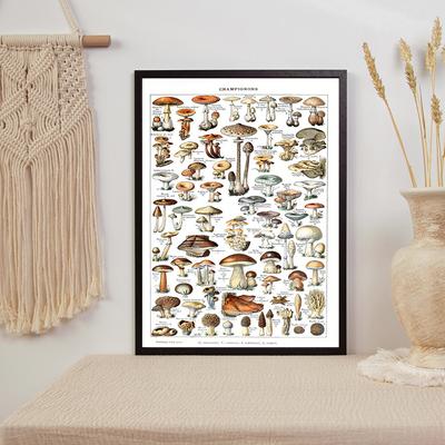 Pilz Wissenschaft Illustration Poster Botanischer Druck Vintage Antik Botanische Bildung Wandkunst Leinwand Gemälde Bild Dekor