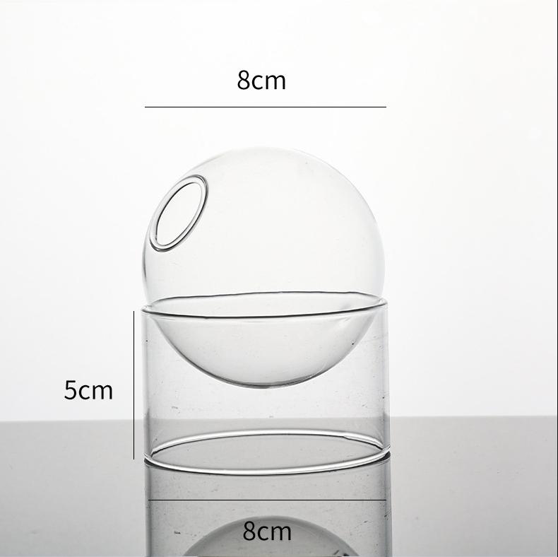 Vintage Round Glass Vase Borosilicate Mini Terrarium Stylish Water Plant Pot for Desktop Home Decor And Flower Arrangement