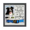 Photo and Choker Holder Sympathy Gift Pet Memorial Frame Honored Remembrances Loss Picture
