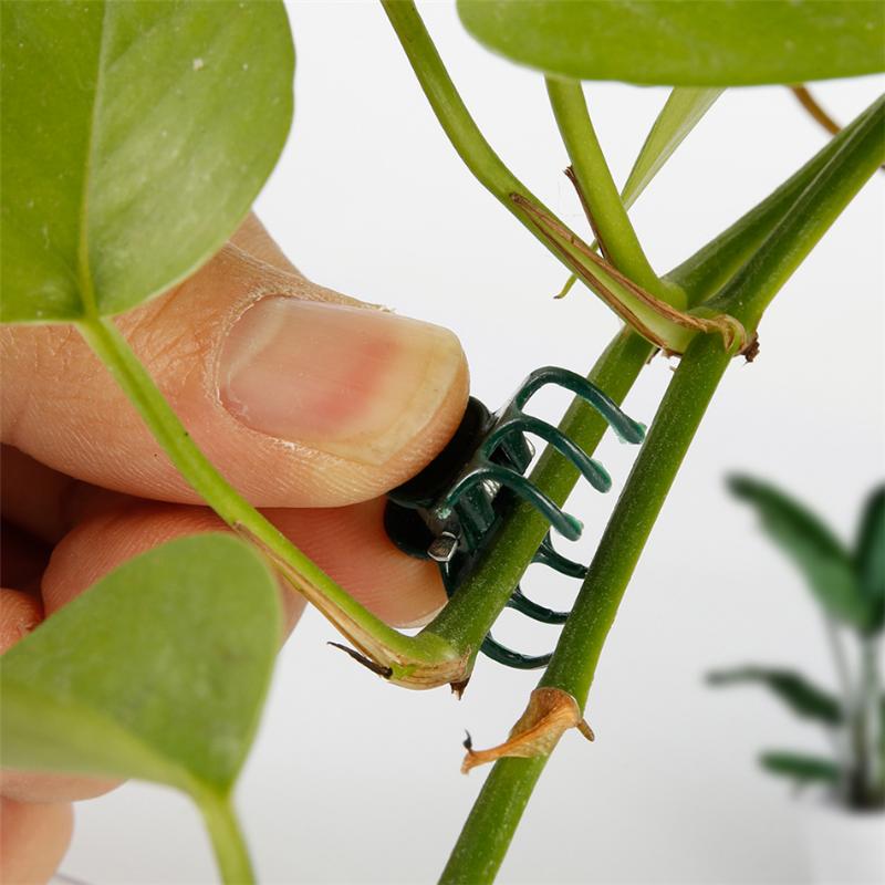 40PCS Plastic Plant Support Clips Orchid Stem Clip for Vine Support Vegetables Flower Tied Bundle Branch Clamping Garden Tool