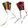 Colorful Parafoil Kite With Long 200cm Tails And 30m Flying Line For Outdoor Fun