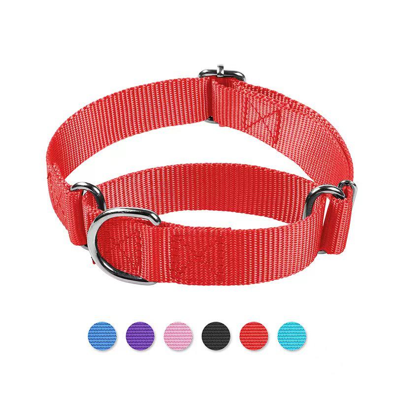 

Adjustable Nylon Explosion-Proof Collar and Leash for Cats and Dogs L (46-66cm)