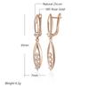 Innovative Design Shiny Natural Zircon Drop Earrings For Women Fashion  Rose Gold Color Romantic Daily Fine Jewelry