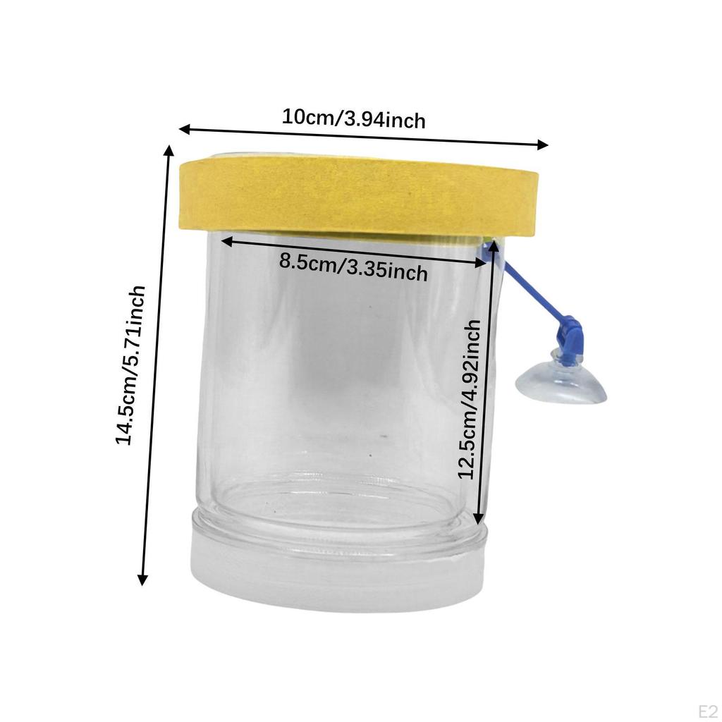 Fish Isolation Container for Hatching with Lid Guppy