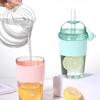 630ML Straw Cup with Lid and Straw Portable Large Capacity Coffee Milk Tea Cup Ins Style Water Cup for Office Workers Juice Mug
