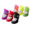 Vestuário e calçado – Sapatos para cães